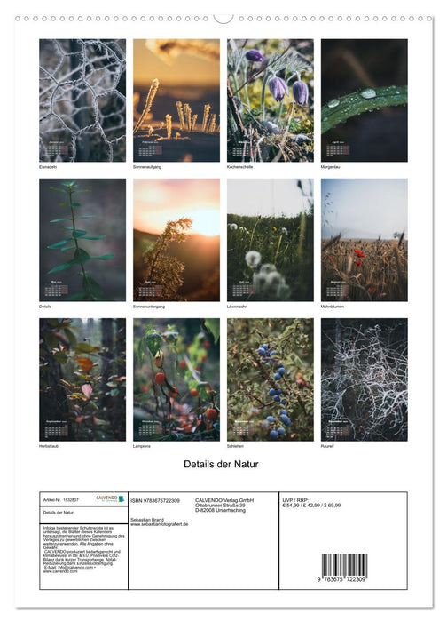 Details of nature (CALVENDO wall calendar 2024) 