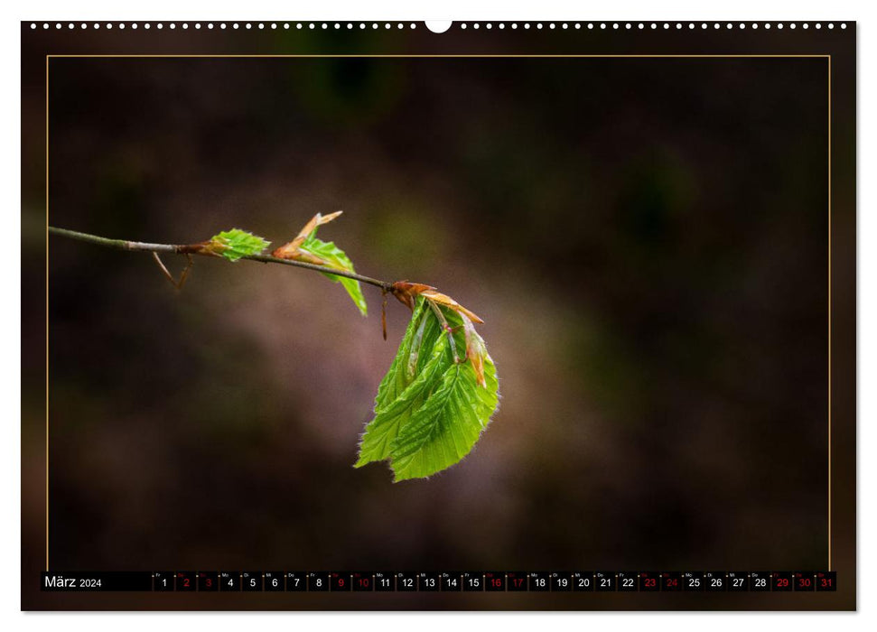 Leaf artwork (CALVENDO Premium Wall Calendar 2024) 