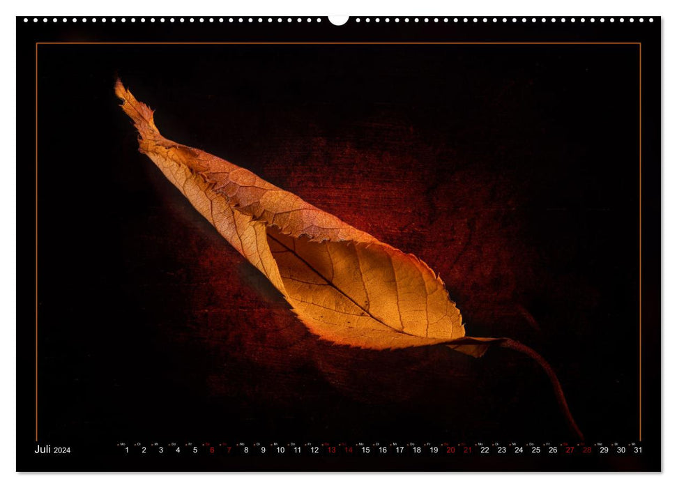 Leaf artwork (CALVENDO Premium Wall Calendar 2024) 