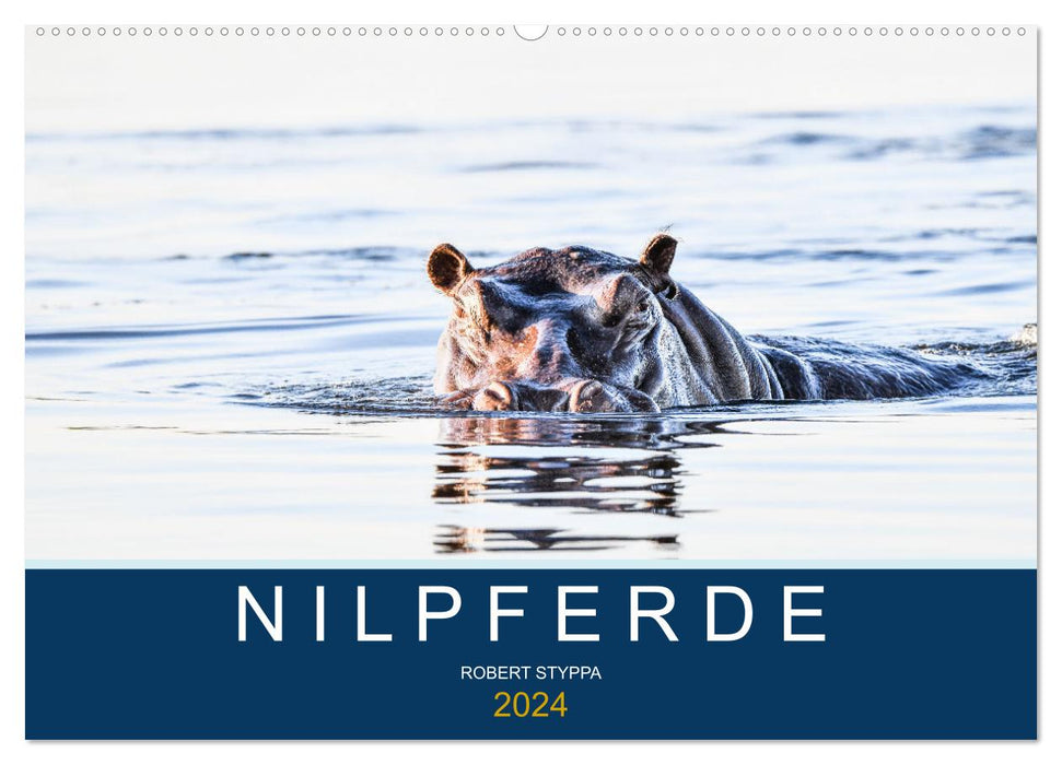 Nilpferde, Kolosse in Afrika (CALVENDO Wandkalender 2024)