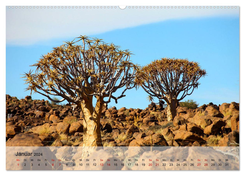 Magical color play of the desert (CALVENDO wall calendar 2024) 