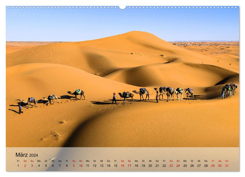 Magische Farbspiele der Wüste (CALVENDO Wandkalender 2024)