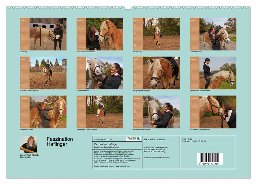Faszination Haflinger (CALVENDO Premium Wandkalender 2024)