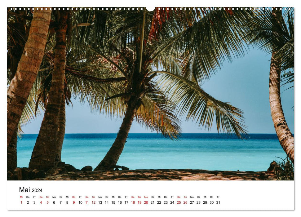 Natural paradise Madagascar (CALVENDO Premium wall calendar 2024) 