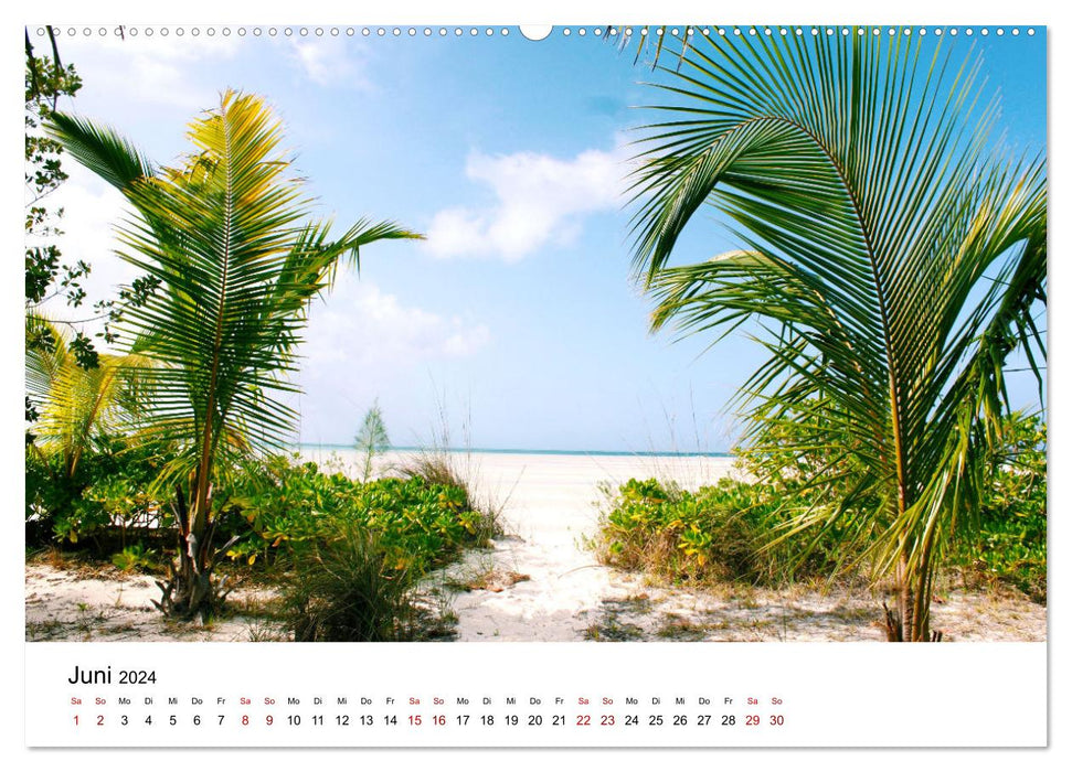 Bahamas - Plages paradisiaques. (Calendrier mural CALVENDO Premium 2024) 