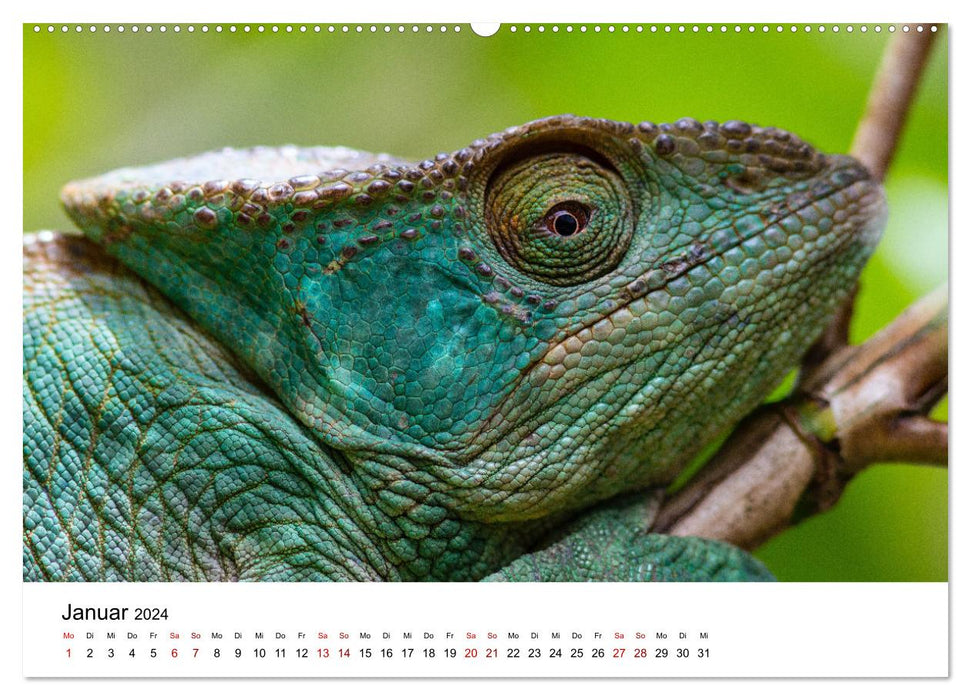 Natural paradise Madagascar (CALVENDO wall calendar 2024) 