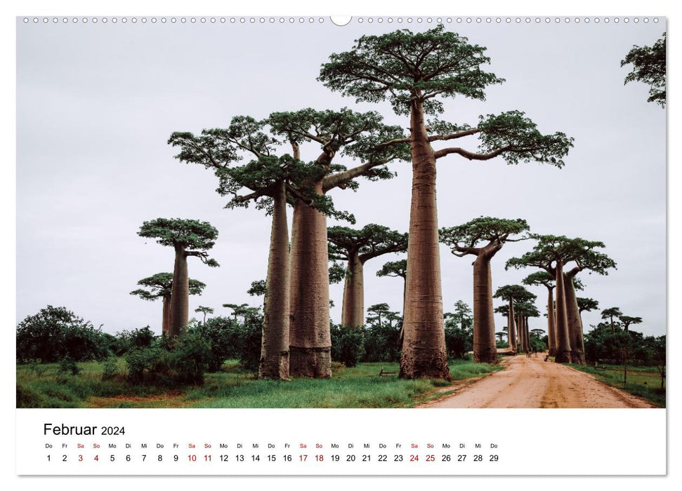 Paradis naturel Madagascar (Calendrier mural CALVENDO 2024) 