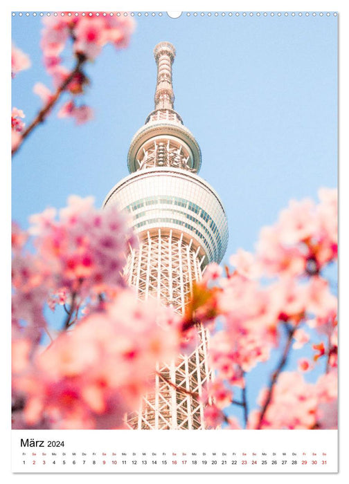 Tokyo - The vibrant cosmopolitan city. (CALVENDO Premium Wall Calendar 2024) 