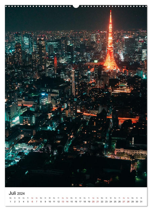 Tokio - Die pulsierende Weltstadt. (CALVENDO Premium Wandkalender 2024)