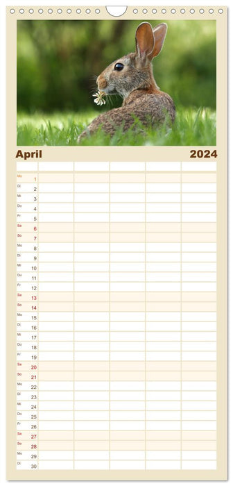 Lapins - les mignons animaux sautillants. (Agenda familial CALVENDO 2024) 