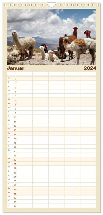 Lamas et alpagas - les doux chameaux du Nouveau Monde. (Agenda familial CALVENDO 2024) 