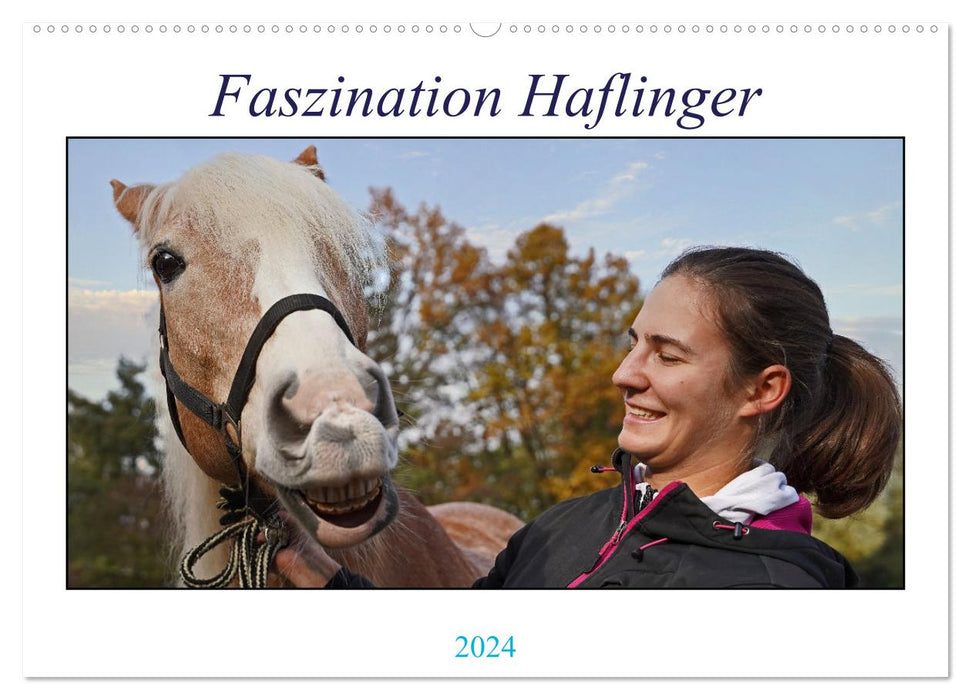 Faszination Haflinger (CALVENDO Wandkalender 2024)