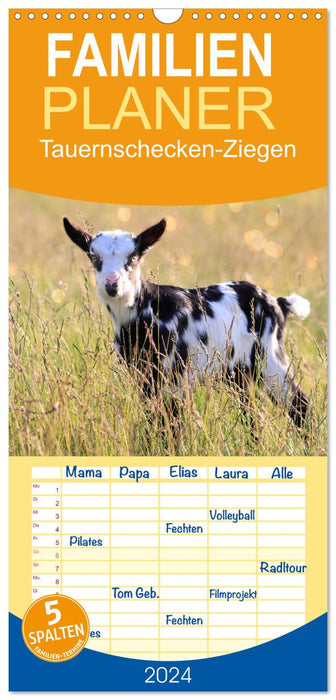 Chèvres Tauernschecken (Planificateur familial CALVENDO 2024) 