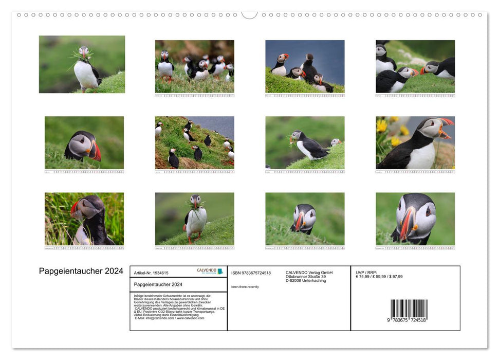 Papageientaucher 2024 - Magische Vögel des Nordmeers (CALVENDO Premium Wandkalender 2024)