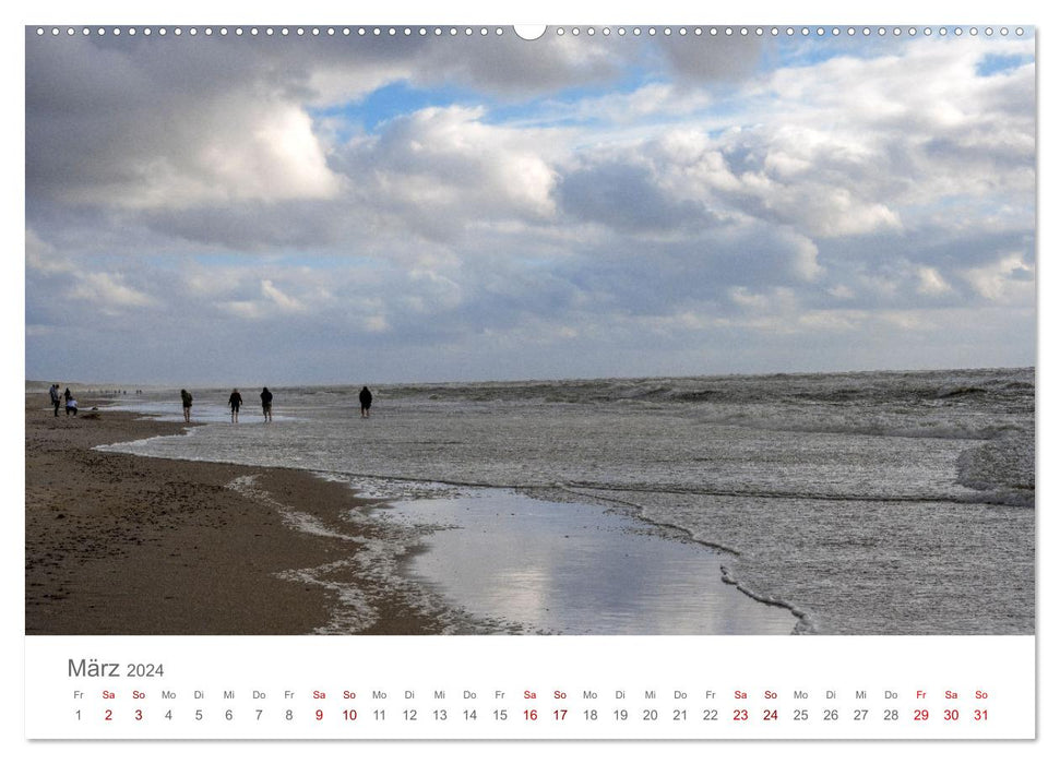 Denmark - Hen Beach (CALVENDO Premium Wall Calendar 2024) 