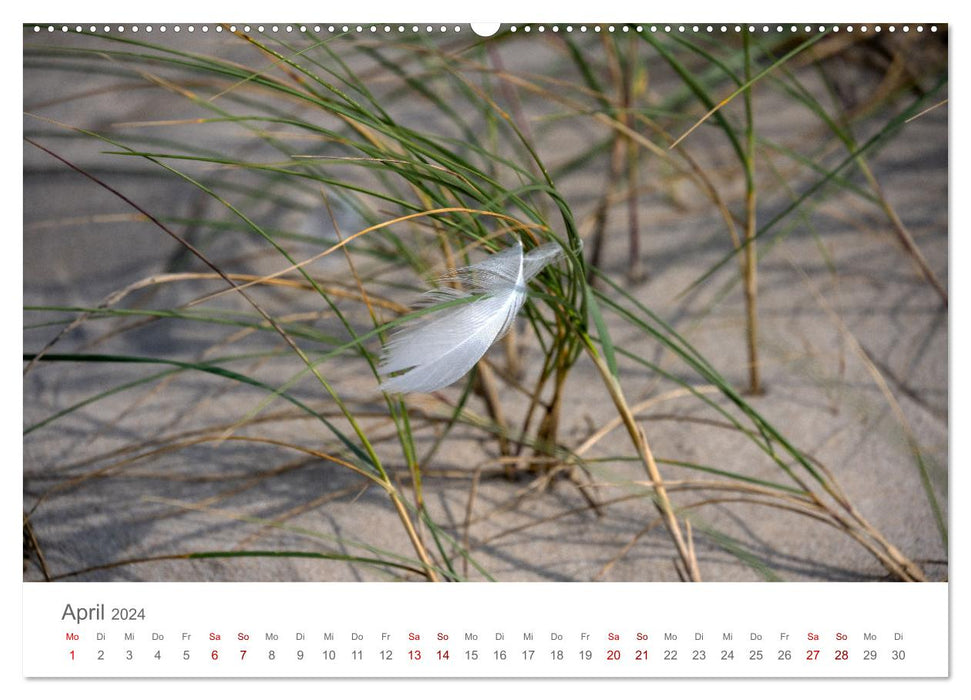 Danemark – Hen Beach (Calvendo Premium Calendrier mural 2024) 