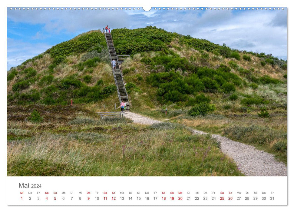 Denmark - Hen Beach (CALVENDO Premium Wall Calendar 2024) 