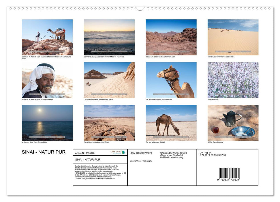 Sinai - Natur Pur (CALVENDO Premium Wandkalender 2024)