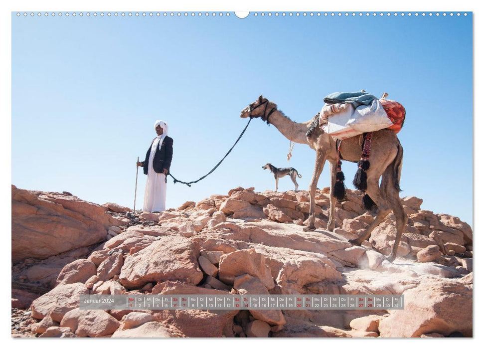 Sinai - Pure Nature (CALVENDO Premium Wall Calendar 2024) 