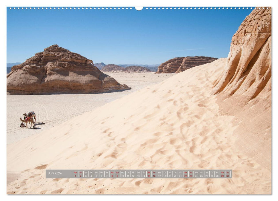Sinai - Pure Nature (CALVENDO Premium Wall Calendar 2024) 