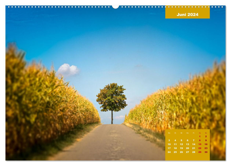 Farbenfrohe Heimat (CALVENDO Premium Wandkalender 2024)