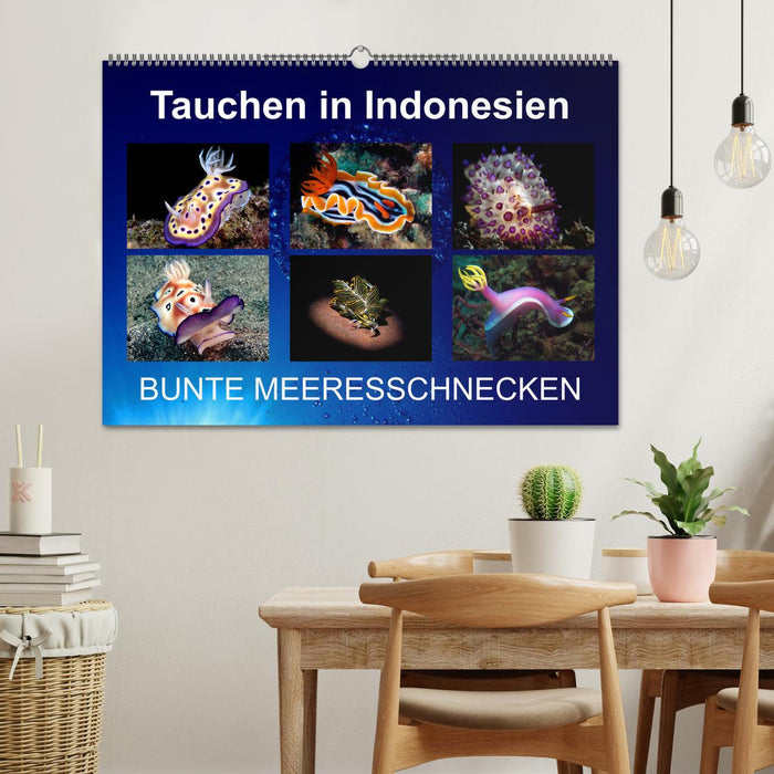 Tauchen in Indonesien - BUNTE MEERESSCHNECKEN (CALVENDO Wandkalender 2024)