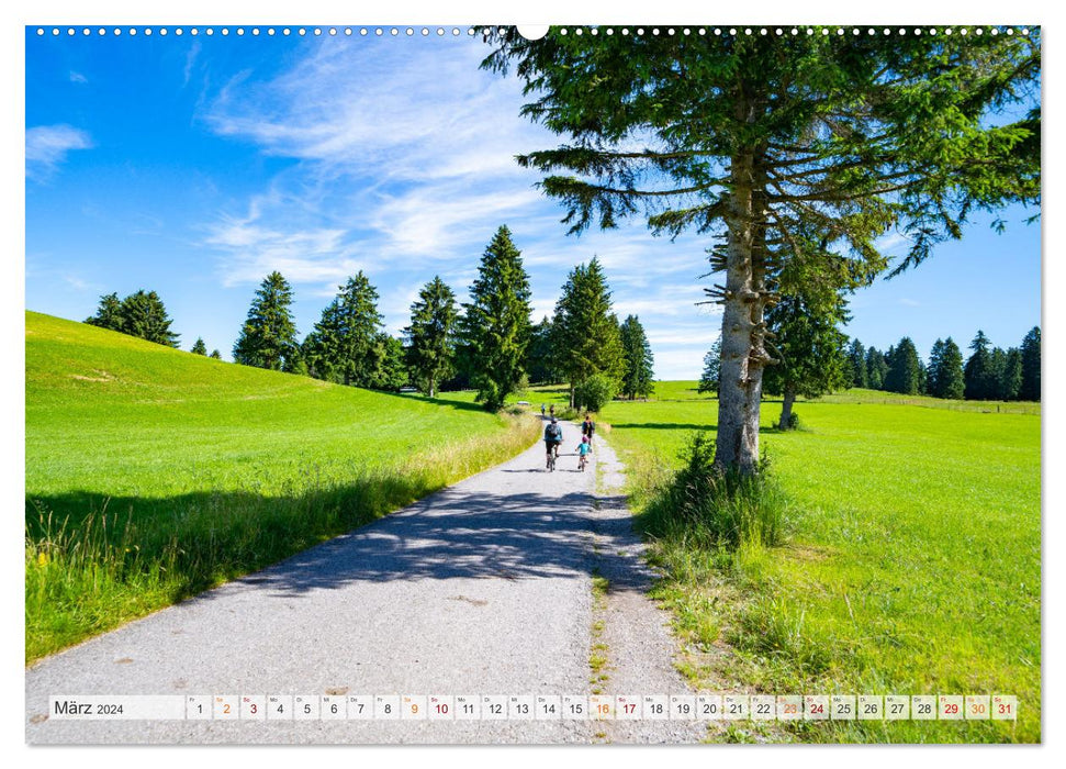 Forggensee and Alpsee - holiday paradise Bavarian Allgäu (CALVENDO Premium Wall Calendar 2024) 