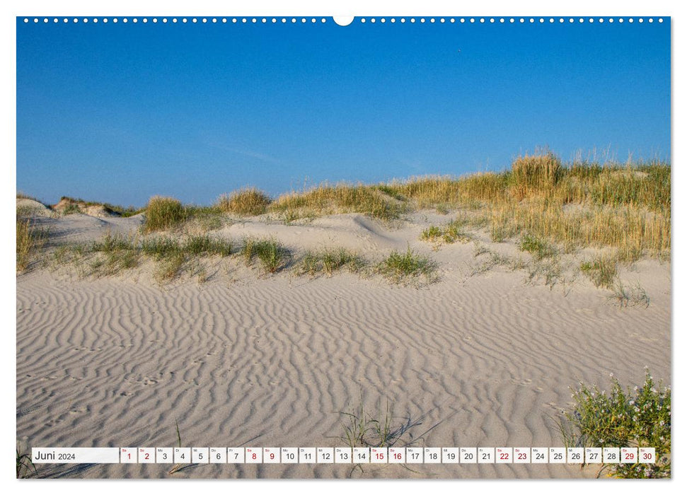 Vacation in North Frisia (CALVENDO wall calendar 2024) 
