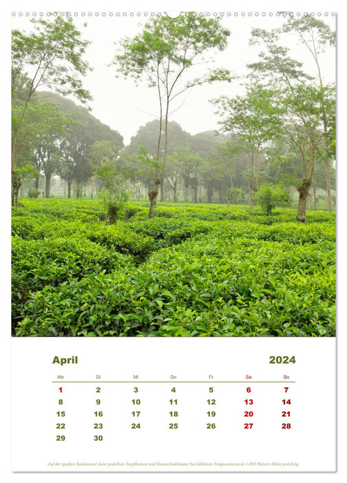 Journey through Java (CALVENDO Premium Wall Calendar 2024) 