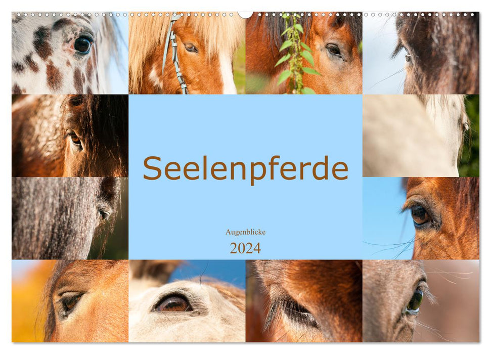 Seelenpferde - Augenblicke (CALVENDO Wandkalender 2024)