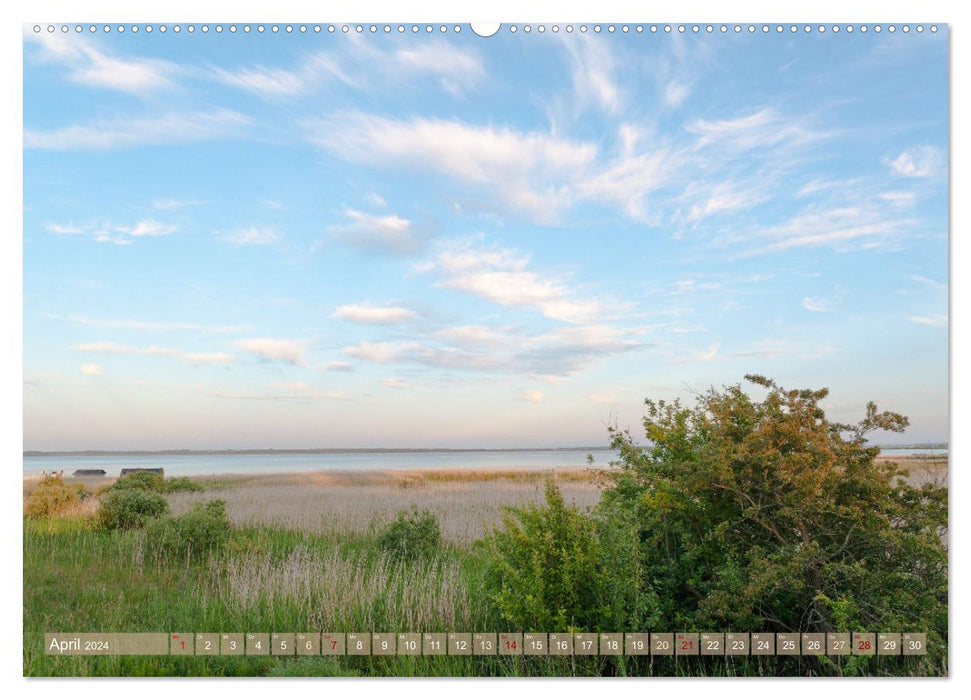 Dänemark - Jütlands Natur (CALVENDO Premium Wandkalender 2024)