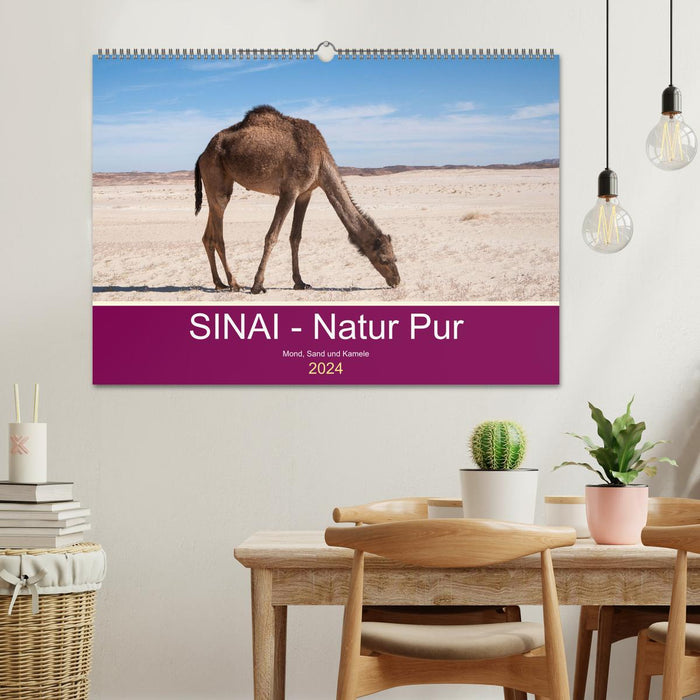 Sinai - Pure Nature (CALVENDO Wall Calendar 2024) 