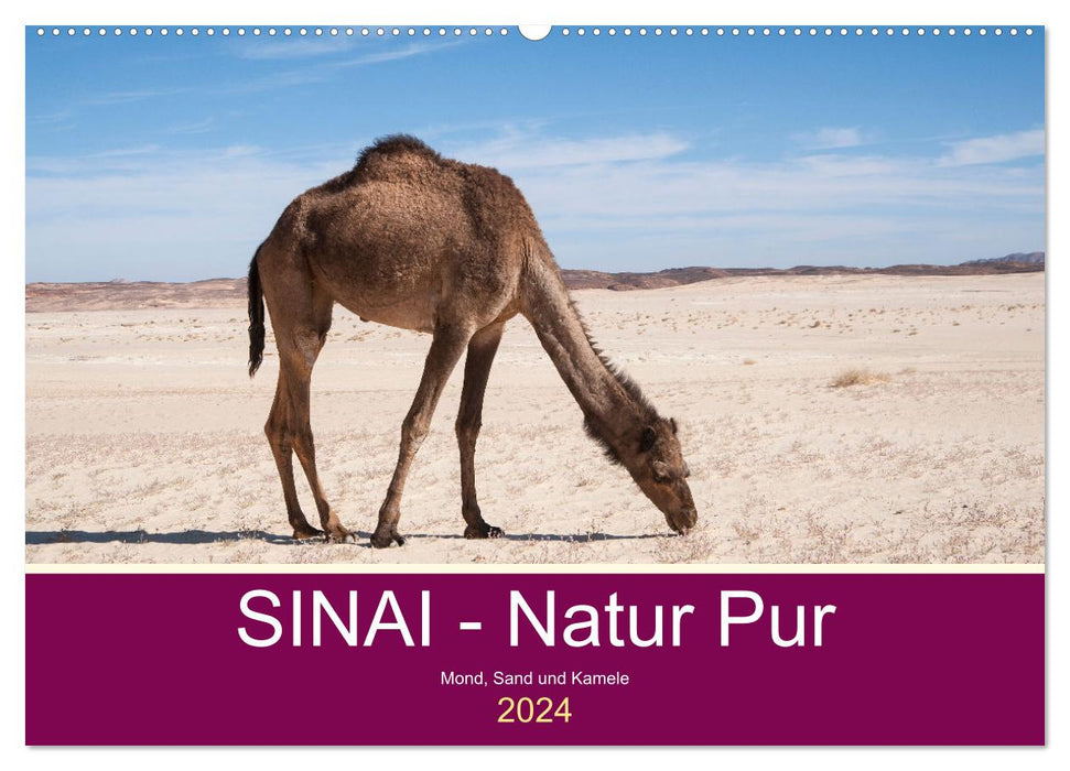 Sinai - Natur Pur (CALVENDO Wandkalender 2024)
