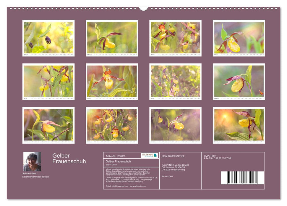 Gelber Frauenschuh (CALVENDO Premium Wandkalender 2024)