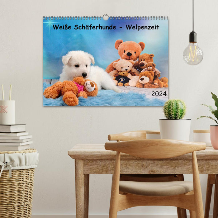 White Shepherd Dogs - Puppy Time (CALVENDO Wall Calendar 2024) 