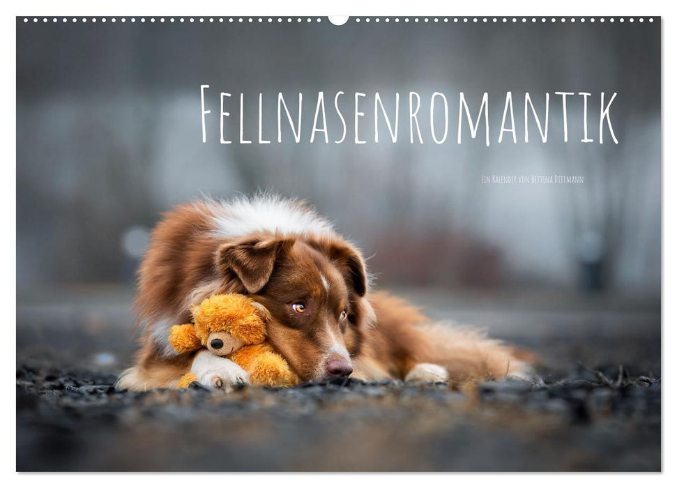 Fellnasenromantik (CALVENDO Wandkalender 2024)