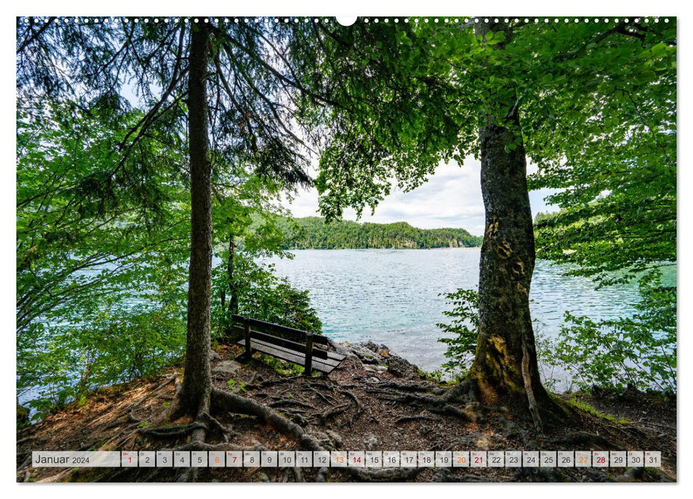 Forggensee and Alpsee - Bavarian Allgäu holiday paradise (CALVENDO wall calendar 2024) 