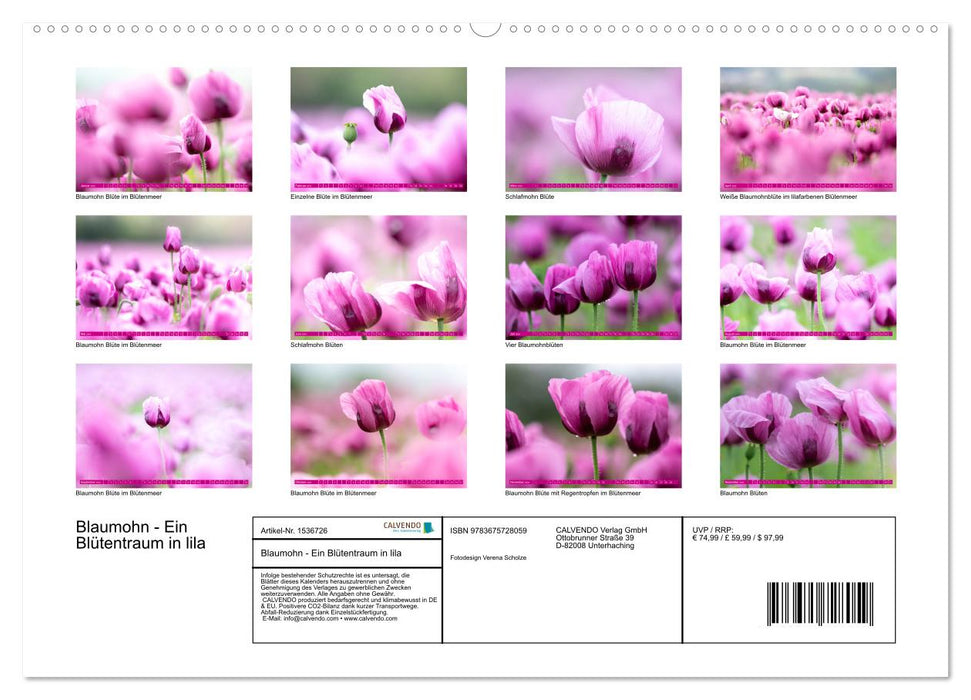 Blaumohn - Ein Blütentraum in lila (CALVENDO Premium Wandkalender 2024)