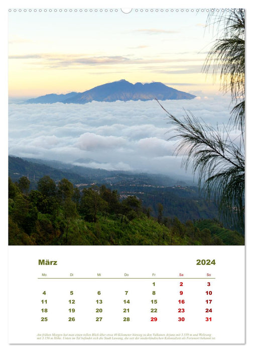 Journey through Java (CALVENDO wall calendar 2024) 