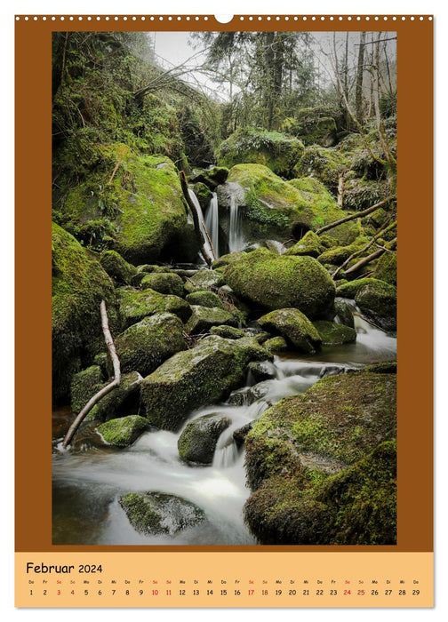 Schwarzwald Wasserfälle (CALVENDO Wandkalender 2024)