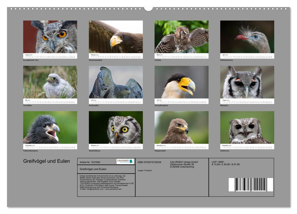 Birds of prey and owls (CALVENDO Premium Wall Calendar 2024) 