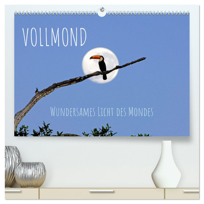 Vollmond: Wundersames Licht des Mondes (CALVENDO Premium Wandkalender 2024)