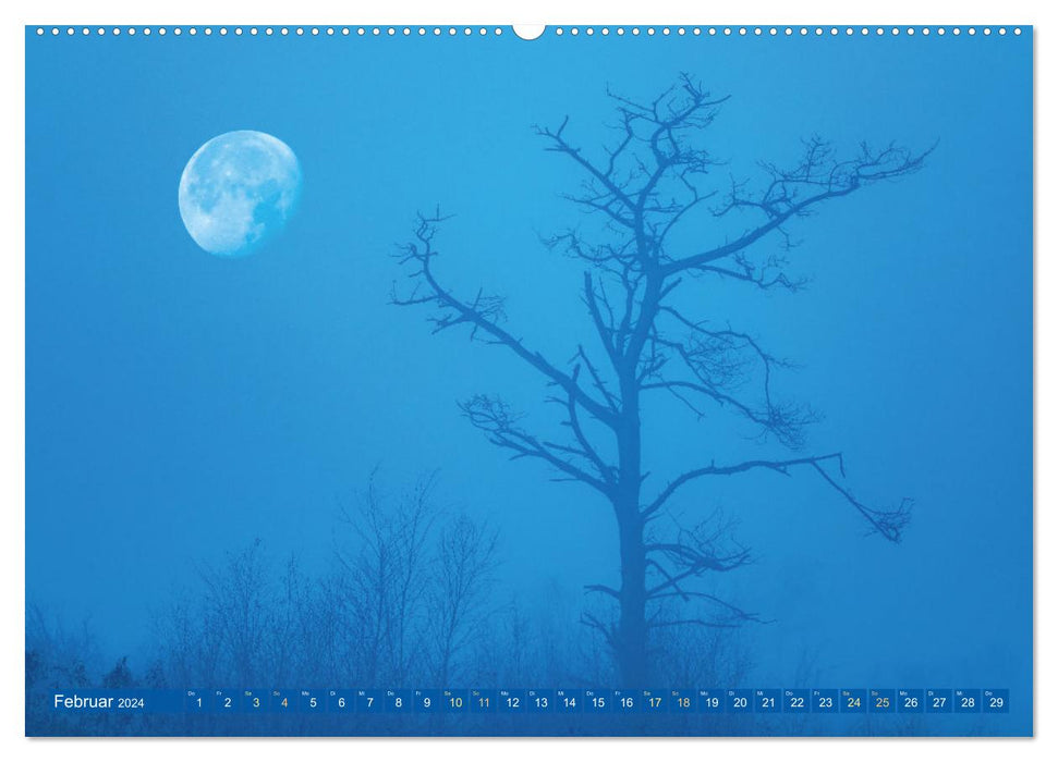 Vollmond: Wundersames Licht des Mondes (CALVENDO Premium Wandkalender 2024)