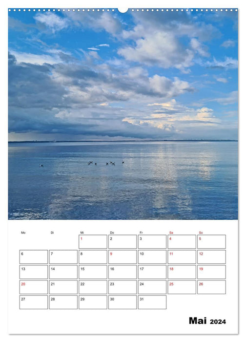 Kappeln and the surrounding area in spring (CALVENDO wall calendar 2024) 