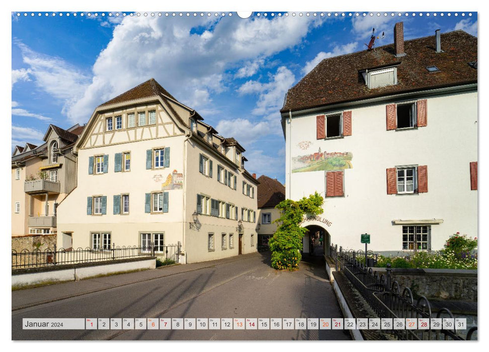 Radolfzell am Bodensee - Impressionen (CALVENDO Premium Wandkalender 2024)