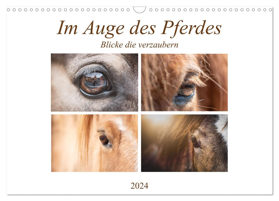 In the eye of the horse (CALVENDO wall calendar 2024) 