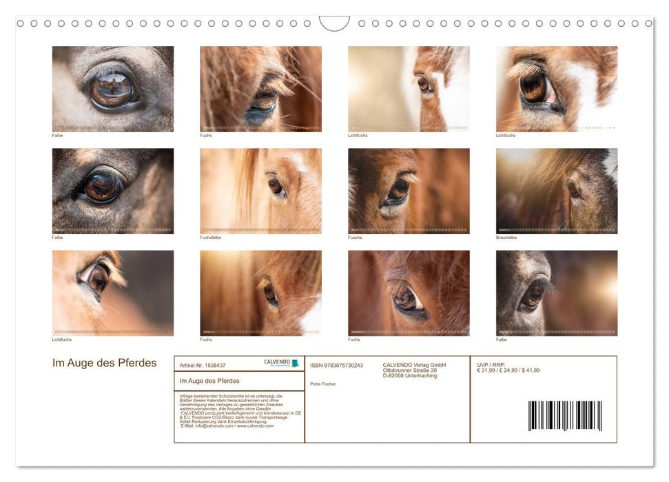 In the eye of the horse (CALVENDO wall calendar 2024) 