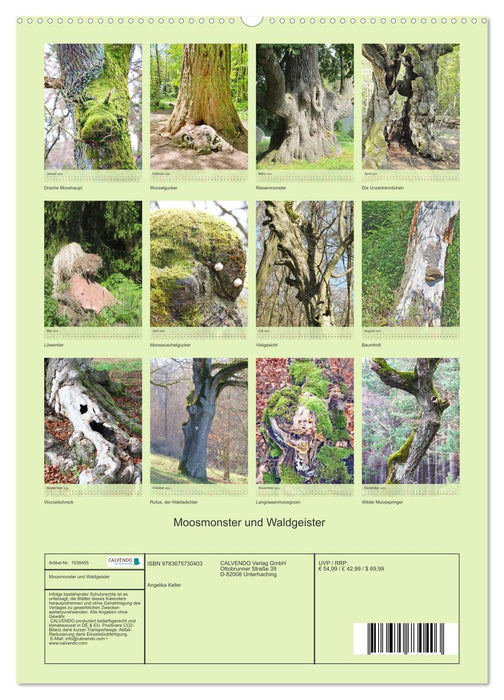 Moss monsters and forest spirits (CALVENDO wall calendar 2024) 