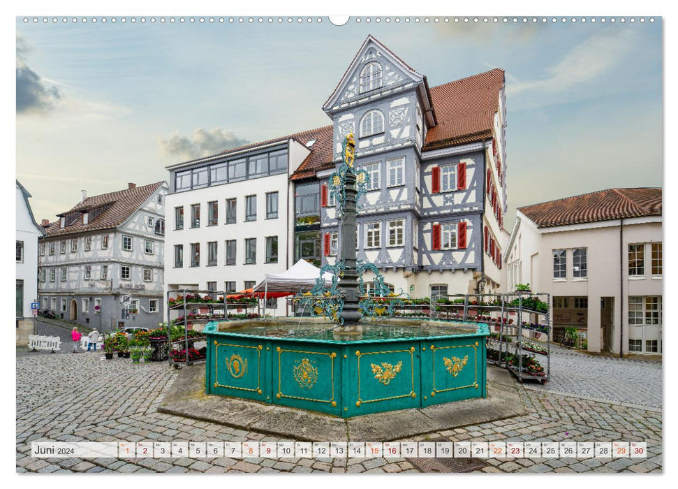 Nürtingen impressions (CALVENDO wall calendar 2024) 