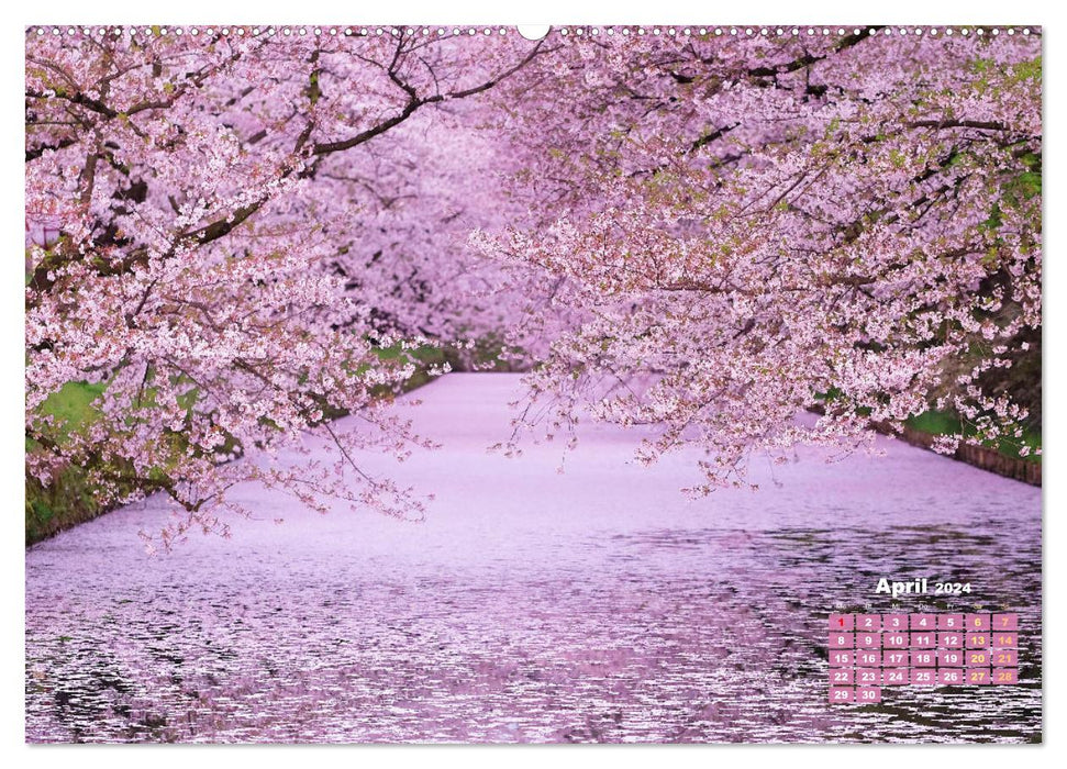 Japan: Discover the charms of the Far East (CALVENDO wall calendar 2024) 